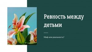 Ревность между детьми. Как избежать ссор и скандала