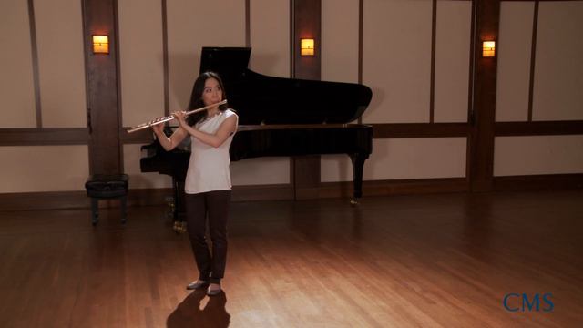 Telemann - Flute Fantasie No.11 in G Major - CMS смотреть онлайн