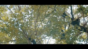 RIZQ - ISLOMIY FILM | РИЗҚ - ИСЛОМИЙ ФИЛЬМ | ҲАЁТ ҲИКМАТЛАРИ