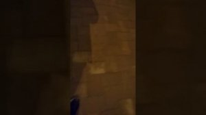 Присадка Анти дым спустя 500 км