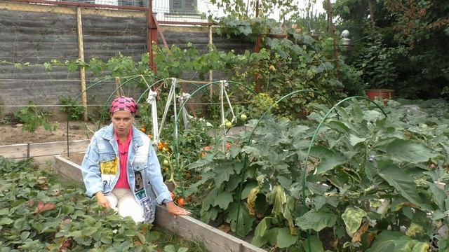 Нужно ли сеять сидераты? смотреть онлайн