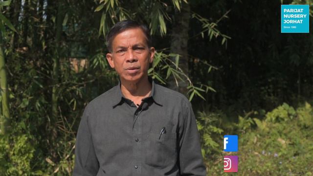 সাঁচি গছৰ পুলি কেনেদৰে ৰোপণ কৰিব দ্বিতীয় খণ্ড | Agarwood Plantation Part 2 : How to Plant смотреть онлайн