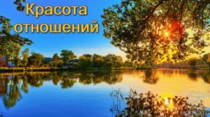 "Красота отношений" А. А. Чмых. МСЦ ЕХБ.