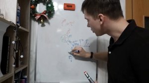 Анатомия коронарных артерий