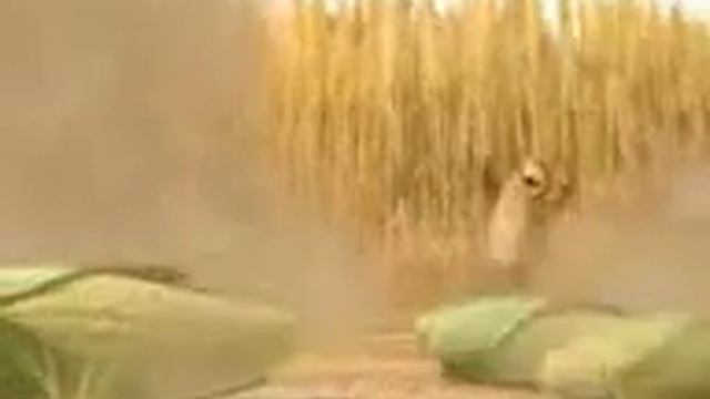 Ржака смотреть онлайн