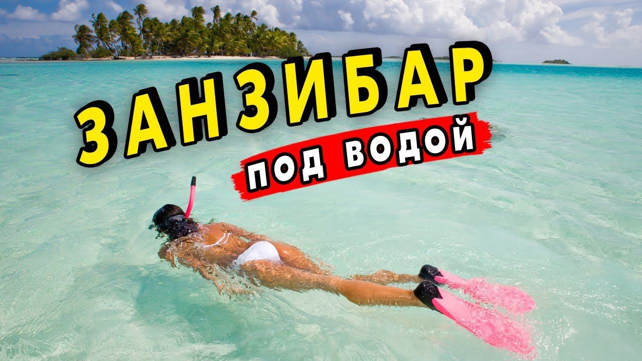 ЗАНЗИБАР - отдых ПОД ВОДОЙ! Дельфины, дайвинг, снорклинг - ТОП экскурсии на Занзибаре