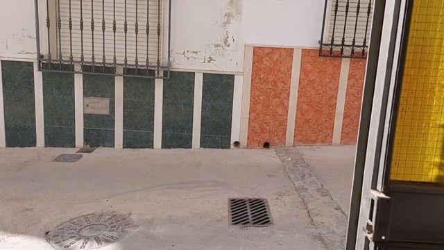 Quality 5 Bedroom Home with a pool and terraces Property for sale in Spain inland Andalucia TH5297 смотреть онлайн