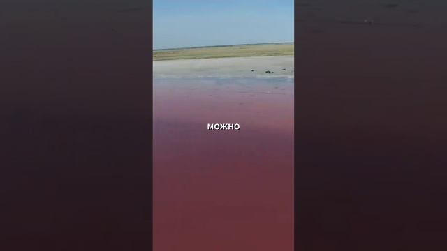 Курот на Алтае которому позавидуют Мальдивы смотреть онлайн