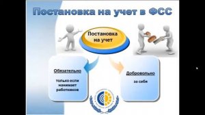 Что делать после регистрации ип