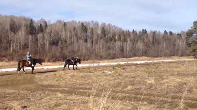 Первая верховая прогулка новичков. Экстремальный способ обучения :)