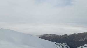 Ложный Юный Геолог