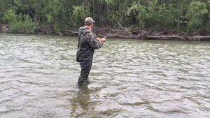Ловля Гольца в Приморье река Кема salmon fishing