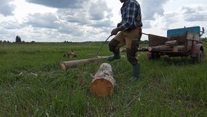 Заготовка дров ?с мотоблоком ?? мтз агро harvesting firewood with a tillerblock