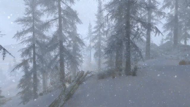Skyrim mod - "RAID Weathers" demo video смотреть онлайн