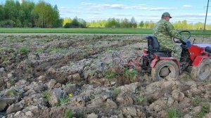 Разрываю дёрн самодельным культиватором