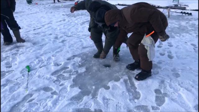 Утренние поимки форели со льда! Клевое место, д. Савельево смотреть онлайн