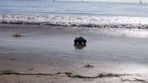 Monster Jam Megalodon Storm RC Shark at the Beach