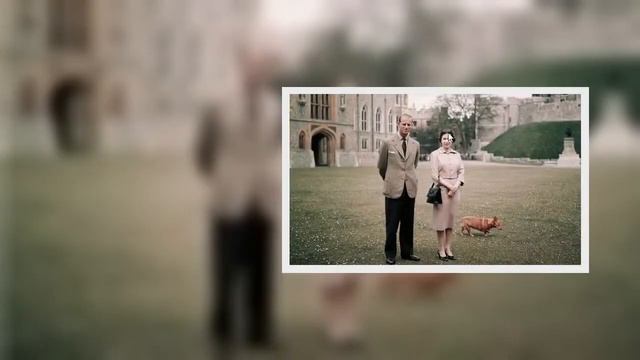 女王の結婚式の秘密：コーギーのスーザンが王室の新婚旅行で密輸された最初の愛 смотреть онлайн