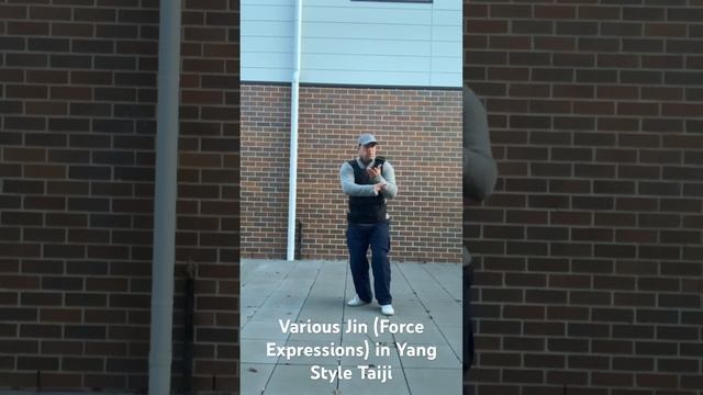 Various Jin from 85 Form Yang Style Taiji