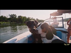 Hammers - Мы в Счастье Откроем Дверь (Modern Talking Cover)