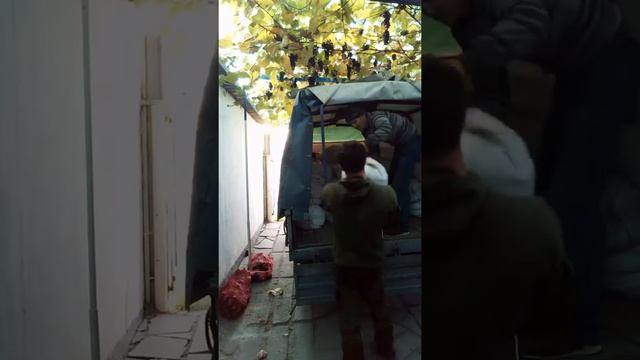 как ездили сбивать семечку на масло. смотреть онлайн