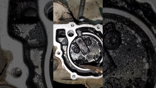 Редуктор ГБО Tomasetto AT09 Alaska прослужил 6 лет без единого ремонта. смотреть онлайн