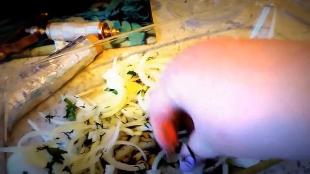 300 к.к. запеченный морской окунь с креветками на луковой подушке смотреть онлайн