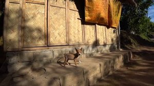 Филиппинские острова, остров Корон, жилье в Короне, Лучшее место на Филиппинах
