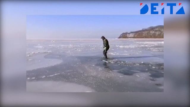 DEITA.RU Замерзающих лебедей спасают в Приморье смотреть онлайн