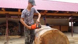 Husqvarna 353 chainsaw and a14 year-old child