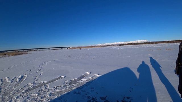 В поисках рыбы Хатка Пауки смотреть онлайн