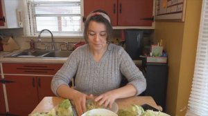 Болеть и лечиться в Америке.. без медицинской страховки?  многодетная мама Лидии Савченко