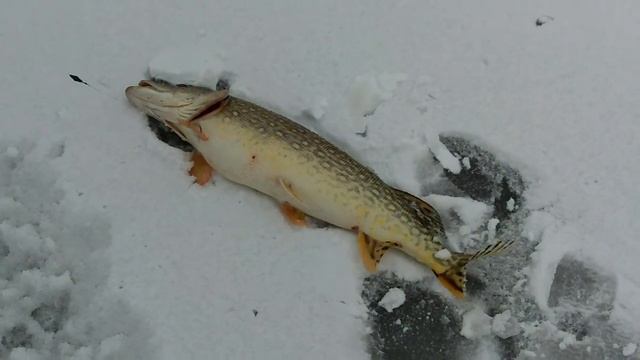 Зима 2013 смотреть онлайн