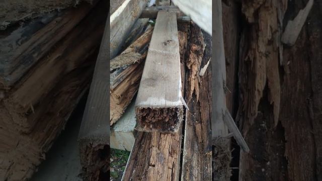 Обработка дерева отработкой ч.2 смотреть онлайн