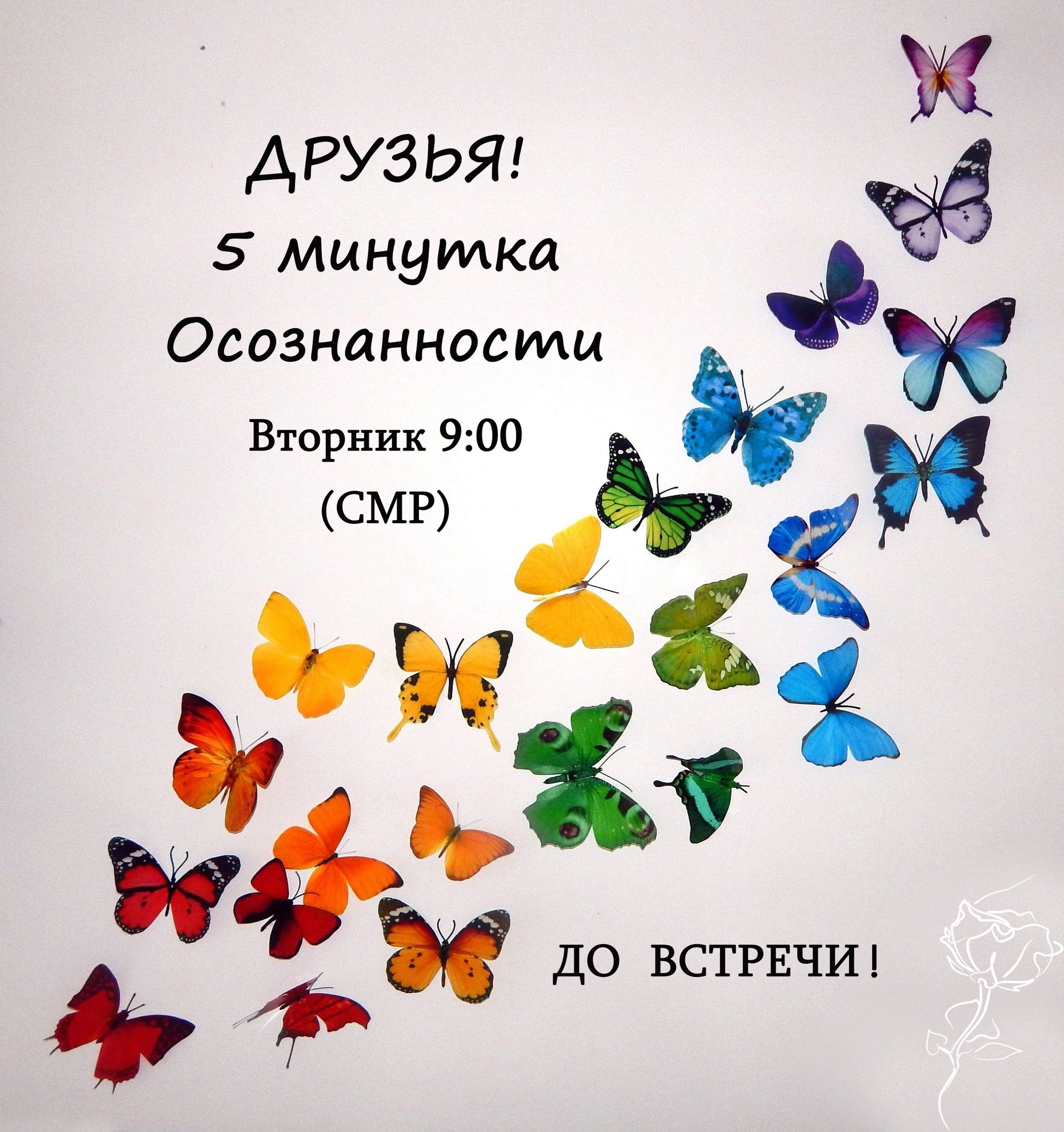 6.Практика осознанное принятие душа