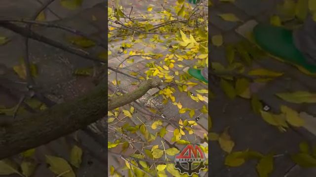 Электрическая ножовка Infaco