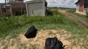 PARKOUR MONEY HEIST VS POLICE | BELLA CIAO REMIX