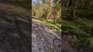 Калининград-Зеленоградск на велосипедах ,по необычному маршруту
