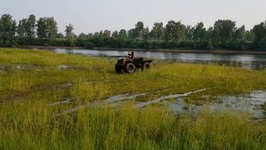 Болотоход зверь.