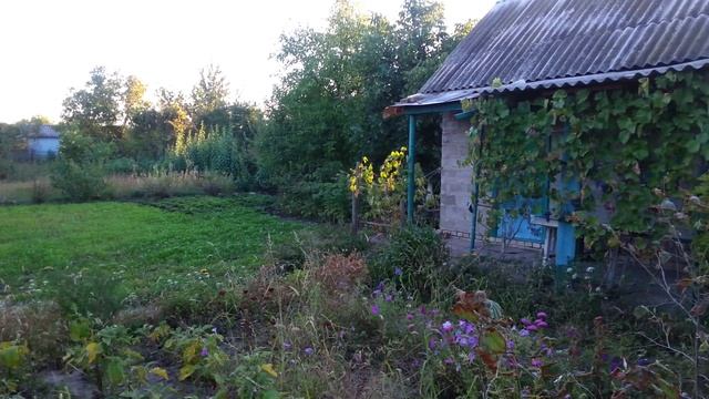 Дача соседа смотреть онлайн