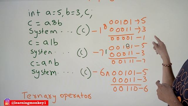 Bitwise and Ternary Operator in Java || Lesson 9 || Java Programming || Learning Monkey ||