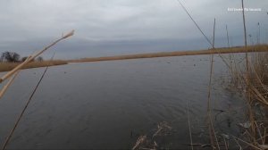 ДЕКАБРЬСКАЯ ОХОТА на УТКУ в Краснодарском крае 2021!???