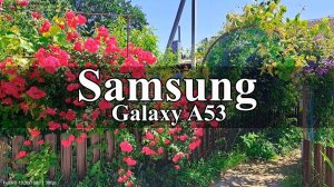 Samsung Galaxy A53 - тест видеокамеры (FullHD 1920x1080 | 30 fps)