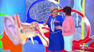 Саммит по головокружению. Жить здорово! Фрагмент выпуска от 12.04.2018