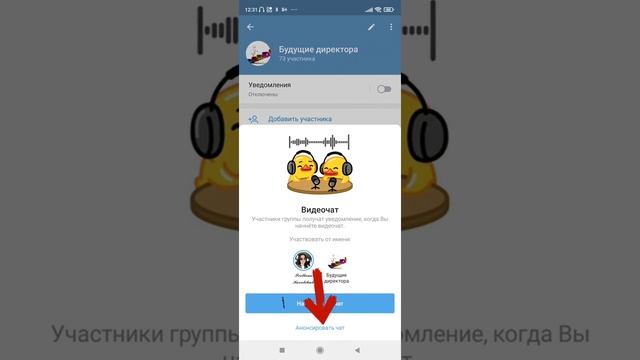 Как сделать видеочат/видеотрансляцию в телеграм смотреть онлайн