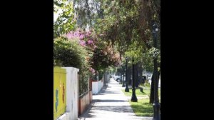 Лекция о Чили