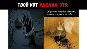Твой кот сделал это | Мистер Исключительный Мем #30