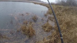 Блесна атом осенью, видео rybachil.ru
