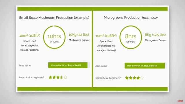 Симбиоз выращивания микрозелени и грибов. смотреть онлайн