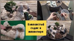 Каменистый садик в миниатюре.